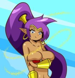 1girls armwear breast_press breast_squeeze breasts dancer_outfit dark-skinned_female dark_skin female female_only harem_outfit long_hair purple_hair shantae shantae_(character) solo spectrumrally wayforward