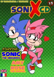 amy_rose anthro bodily_fluids camel_toe classic_amy_rose classic_sonic clothed clothing cover cover_art cover_page duo eulipotyphlan female footwear heart hedgehog hi_res male male/female mammal panties raianonzika sega shoes sonic_(series) sonic_cd sonic_the_hedgehog sonic_the_hedgehog_(series) sweat sweatdrop topless underwear