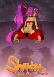 belly_dancer_outfit bolo choker comic comic_cover dark-skinned_female heart-shaped_pupils on_knees peridraw ponytail purple_hair rottytops shantae shantae_(character) silhouette silhouettes sky_(shantae) straight_hair