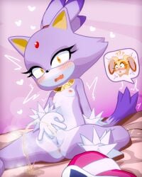 blaze the cat from sega