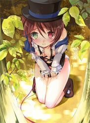 androgynous blush breasts brown_hair collar garden hat heterochromia leash looking_at_viewer nipples rozen_maiden souseiseki tear tomboy top_hat torn_clothes