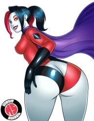 harley quinn from dc by megasweet