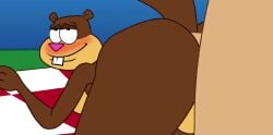 1boy 1boy1girl 1girls anal anal_penetration anal_sex animated anthro ass back_view butt female female_on_male furry human human_on_anthro human_penetrating human_penetrating_anthro looking_pleasured male male/female male_human/female_anthro male_on_female male_penetrating_female nickelodeon parody plap_(sound) plapping sandy_cheeks sex spanky15 spongebob_squarepants tagme video