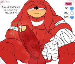 anthro bacon_sama big_penis breasts fur knuckles_the_echidna male male_only penis red_body sonic_(series) sonic_the_hedgehog_(series) tagme