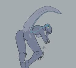 anthro blue_(jurassic_world) blue_body breasts dinosaur dromaeosaurid female genitals ggpro jurassic_park jurassic_world pussy reptile scalie solo theropod universal_studios velociraptor yellow_eyes