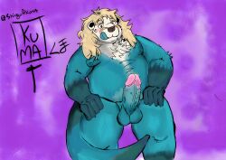 absurd_res anthro balls belly big_belly big_penis blonde_hair blue_body blue_fur blush digital_media_(artwork) erection fur genitals hair hi_res humanoid humanoid_genitalia humanoid_penis male mammal marine musclegut mustelid nipples nude otter overweight overweight_male penis rintosour sea_otter shingoakuma simple_background solo tail tan_body tan_fur