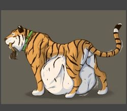 achilles_(achilles4) ambiguous_gender animal_genitalia balls belly big_belly closed_eyes collar duo felid feral feral_pred feral_prey genitals hi_res lion male male_pred mammal oral_vore pantherine quadruped sheath soft_vore swallowing thatgryphonguy tiger vore