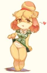 animal_crossing anthro awkwardlytrashy blush blush_lines bottomless bottomless_skirt canid canine canis chibi clothed clothing clothing_lift domestic_dog female flashing heart isabelle_(animal_crossing) mammal nintendo shirt shirt_lift simple_background skirt_lift solo standing topwear upskirt white_background wide_hips