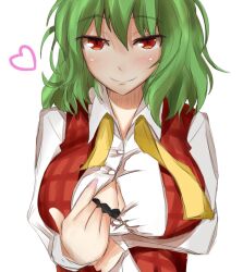 1girls big_breasts bra breasts cleavage green_hair heart kazami_yuuka lingerie naughty_face open_shirt paizuri_invitation poshi_(ginmokusei) red_eyes shirt solo touhou yuka_kazami