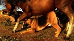 3d anal animated blender canine canine_penis duo equine feral feral_on_feral feral_only feral_penetrating_feral gay german_shepherd horse interspecies male/male male_only malemammal mp4 nicobay_(artist) no_sound size_difference stretching tagme video