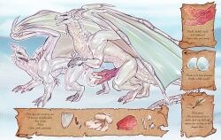 breeding cum diphallia diphallism dragon dungeons_and_dragons eggs female hemipenes knot male multi_penis penis presenting refsheet text treasure white_body white_dragon