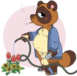 animal_crossing anthro balls bathrobe belly big_balls brown_body brown_fur canid canine cigarette clothing flaccid flower footwear foreskin fur genitals hi_res male male_only mammal mature_male navel nintendo nipples overweight penis plant raccoon_dog robe sandals smoking solo tanuki tbid tom_nook water_hose watering_plants