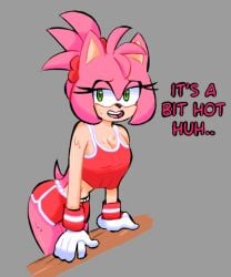 amy rose from sonic (series) by silver27
