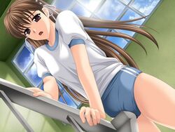 aniyome brown_hair crotch_rub game_cg gym_uniform long_hair masturbation takatsuki_noboru tokiwa_misa