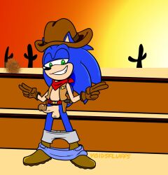 anthro balls belt boots bottomwear bottomwear_down clothed clothing cowboy cowboy_hat cowboy_outfit digital_media_(artwork) erection eulipotyphlan firearm footwear fur genitals gloves green_eyes gun gun_holster hair half-closed_eyes handgun handwear hat headgear headwear hedgehog hi_res humanoid_genitalia humanoid_penis kerchief male mammal narrowed_eyes open_clothing open_topwear outside pants pants_down partially_clothed penis ranged_weapon revolver sega shoes smile solo sonic_the_hedgehog sonic_the_hedgehog_(series) standing tail teeth topwear underwear underwear_down voidsdroids weapon