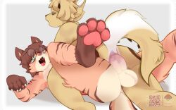 absurd_res anal anal_penetration anthro apa_(apakingg) balls butt canid canine canis cinnamon_(cinnamonbuns) domestic_cat domestic_dog dragon duo eyewear felid feline felis from_front_position genitals glasses goah_sparky hi_res horn hybrid looking_pleasured lying male male/male mammal mythological_creature mythological_scalie mythology on_back paws penetration penis reverse_missionary_position scalie sex spiked_tail spikes spikes_(anatomy) tail