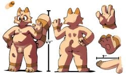 3_toes 4_fingers anthro ass big_butt big_tail bittenhard chest_tuft chubby_male dg_(pongodecky) erection feet fingers head_tuft hi_res male male_only mammal moobs procyonid raccoon reference_image slightly_chubby solo tail toes tuft