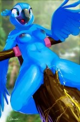 1girls absurd_res avian bird blue_sky_studios female female_only furry hi_res jewel_(rio) masturbation parrot peeing pussy rio_(series) solo wings zigrock001