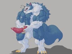 anthro balls bara barazoku big_balls big_muscles big_penis blue_fur boner canine_penis darkstalkers erection furry jon_talbain knotted_penis male male_only muscles muscular muscular_male nude penis schwartzgeist solo solo_male tongue_out werewolf white_fur wolf