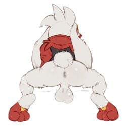 anthro anus ass balls clothed clothing darkluxia generation_8_pokemon genitals male male_only nintendo partially_clothed pokemon pokemon_(species) presenting presenting_hindquarters raboot red_eyes simple_background solo white_body