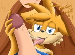 anthro blue_body blue_eyes blue_fur bodily_fluids canid canine duo erection fellatio first_person_view fox foxkai fur genitals hi_res licking male male/male mammal morning_wood oral orange_body orange_fur penile penis penis_lick pov_blowjob pov_handjob saliva sega sex solo_focus sonic_(series) sonic_the_hedgehog_(series) tails tongue tongue_out