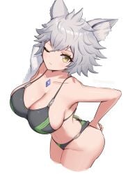 1girls ass bikini breasts cat_ears catgirl cleavage core_crystal female gonzarez huge_breasts large_ass light-skinned_female looking_at_viewer na'el_(xenoblade) nintendo short_gray_hair short_hair swimsuit thick_thighs white_hair xenoblade_(series) xenoblade_chronicles_3 xenoblade_chronicles_3:_future_redeemed