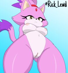 anthro blaze_the_cat breasts felid feline female fur genitals hi_res looking_down mammal purple_body purple_fur pussy rick_amv rick_lewd rickamv sega solo sonic_(series) sonic_the_hedgehog_(series) thick_thighs yellow_eyes