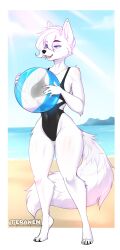 anthro beach_ball big_breasts breasts female furry one-piece_swimsuit original_character teranen thick_thighs wide_hips