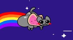 :3 animated ass ass_bigger_than_head big_ass big_butt butt domestic_cat felid feline feral food furry furry_only huge_ass meme nyan_cat rainbow superiorfox tail