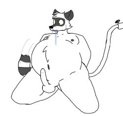 anthro balls belly big_belly digital_drawing_(artwork) digital_media_(artwork) erection expansion fur genitals hose hose_inflation inflation liquid_inflation male mammal nude penis procyonid raccoon sillyman357 simple_background solo surprised_expression water water_inflation