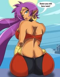 shantae (character) from shantae by datwondoude