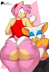 amy rose from sonic (series) by lewddoodler