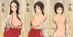 blushing_at_viewer breasts copyright_request exposed_breasts exposed_nipples hakama honoji large_breasts miko multiple_females multiple_girls nude_female open_shirt partially_clothed_female pettanko small_breasts smiling_at_viewer