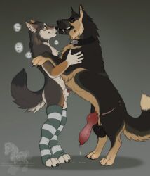 animal_genitalia animal_penis anthro balls black_balls black_body black_sclera bodily_fluids canid canine canine_genitalia canine_penis canis clenched_teeth closed_smile clothing collar coyote dialogue dripping duo ear_piercing english_text erection fangs fenn.perrox feral genital_fluids genital_piercing genitals grey_body hi_res hug ladder_piercing legwear looking_down male male/male mammal mouth_closed on_hind_legs penis penis_piercing penis_tip piercing precum precum_drip prince_albert_piercing red_penis saggy_balls scar sheath side_view simple_background smile standing stockings teeth text