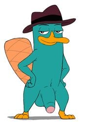 balls big_penis dlirost flaccid foreskin full-length_portrait full_length fur glans male mammal monotreme partially_retracted_foreskin penis perry_the_platypus phineas_and_ferb platypus portrait solo standing uncut