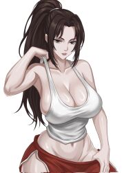 mai shiranui from fatal fury by charlesart