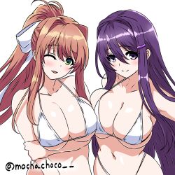 monika (doki doki literature club) from doki doki literature club by mochachoco