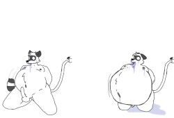 anthro ass balls belly big_belly digital_media_(artwork) expansion fur genitals hose hose_inflation inflation liquid_inflation male mammal nipples penis sillyman357 simple_background solo tail water water_inflation