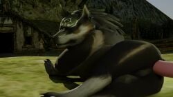 3d anal animated disembodied_penis feral feral_penetrated gay growling hiad link male male/male mammal mp4 nintendo solo_focus sound tagme the_legend_of_zelda twilight_princess video wolf wolf_link