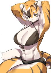 1girls amber_eyes anthro arknights big_breasts breasts female mx99926 simple_background solo solo_female thick_thighs tiger tiger_girl waai_fu_(arknights) white_background wide_hips