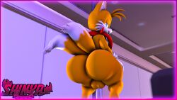 animal_humanoid anthro ass balls big_ass big_butt canid canid_humanoid canine canine_humanoid femboy fox fox_humanoid hi_res huge_ass humanoid large_ass looking_at_viewer looking_back male mammal mammal_humanoid pole sega shinyagaia solo sonic_(series) sonic_the_hedgehog_(series) tails thick_thighs wide_hips