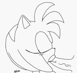 amy_rose animated bodily_fluids excito fellatio female genitals male male/female oral partial_male penile penis saliva sega sex sonic_(series) sonic_the_hedgehog_(series)