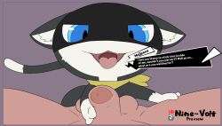 2boys anthro cat_ears english_text feline gay male_focus male_only morgana_(persona) penis persona_5 sex tagme talentlesshack text