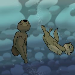 1:1 2023 anthro beaver black_nose breasts duo female genitals lisa_(study_partners) looking_back mammal mustelid navel nipples nude otter pussy rodent sarah_(study_partners) smile study_partners swimming tail thunderouserections underwater water