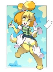 ambiguous_gender animal_crossing anthro blonde_hair blushing breasts canid canine canis clipboard clothed clothing disembodied_hand domestic_dog duo erotibot female female/ambiguous female_focus floating_hands front_view fur genitals hair hi_res isabelle_(animal_crossing) mammal nintendo panties panties_down paper partially_clothed pencil_(object) pussy shih_tzu shirt solo_focus topwear toy_dog underwear underwear_down yellow_body yellow_fur