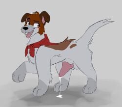 2022 animal_genitalia animal_penis background balls blush bodily_fluids brown_body brown_fur canid canine canine_genitalia canine_penis canis cheek_tuft clothing colored_sketch cum cum_drip cum_on_ground cum_pool digital_drawing_(artwork) digital_media_(artwork) disney dodger domestic_dog dripping erection facial_tuft feral flat_colors fur genital_fluids genitals grey_body grey_fur hi_res hunting_dog jack_russell_terrier kerchief knot male mammal neckerchief oliver_and_company open_mouth penis pink_blush pink_penis pink_tongue precum red_kerchief red_neckerchief scarf sheath simple sketch sketchy smile solo spoonfulofsuga tail teeth terrier tongue tongue_out tuft white_body white_fur