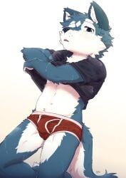 2025 anthro balls_outline betsuto blush bodily_fluids bulge canid canine canis clothed clothed_anthro clothed_male clothing clothing_lift detailed_bulge digital_media_(artwork) fur genital_outline hair hi_res kemono looking_at_viewer male male_anthro mammal navel penis_outline shirt solo sweat sweatdrop t-shirt tail topwear topwear_lift underwear undressing wolf