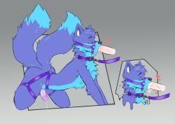 2_tails absurd_res all_fours anthro blue_body blue_fur bodily_fluids canid canine collar cum cum_in_mouth cum_inside erection fox fur genital_fluids genitals good_boy half-closed_eyes harness heart_symbol hearts_around_head hi_res humanoid_genitalia humanoid_penis inner_ear_fluff leaking_cum leaking_precum leash leash_pull leashed_collar leosh male male/male mammal millie_k9 multi_tail narrowed_eyes oral oral_penetration penetration penis penis_in_mouth pink_penis precum purple_body purple_eyes purple_fur purple_inner_ear saliva solo tail tan_penis text text_on_collar tuft wearing_collar white_inner_ear_fluff