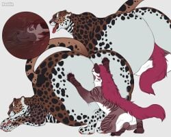 ambiguous_gender anthro ass ass_up big_butt brown_body closed_eyes duo facial_spots fangs felid feral hi_res huge_butt hyena internal lying male mammal mouth_closed on_front open_mouth pawpads red_pawpads red_tongue roobin roobin_(character) simple_background spots spotted_butt spotted_face spotted_legs striped_arms striped_legs teeth tongue tongue_out vore white_background white_body yellow_eyes