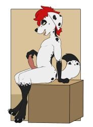 1boy animal_penis anthro anthro_focus anthro_male anthro_only anthro_solo black_body black_fur black_spots blair_(marrionette) canid canine canine_penis canis claws cock cub dalmatian dick digital_drawing_(artwork) digital_media_(artwork) domestic_dog fangs feet floppy_ears fluffy fluffy_hair fluffy_tail hair hands hi_res high_resolution highres knotted_cock knotted_dick knotted_penis male male_anthro male_canine male_cub male_dog male_focus male_only naked naked_anthro naked_male nude nude_anthro nude_male open_mouth open_smile original original_character pawpads paws penis psy101 red_hair simple_background smile smiling solo solo_anthro solo_focus solo_male spots spotted_body spotted_fur tail toe_claws toes tongue tongue_out touching_penis white_body white_fur yellow_eyes young younger_male
